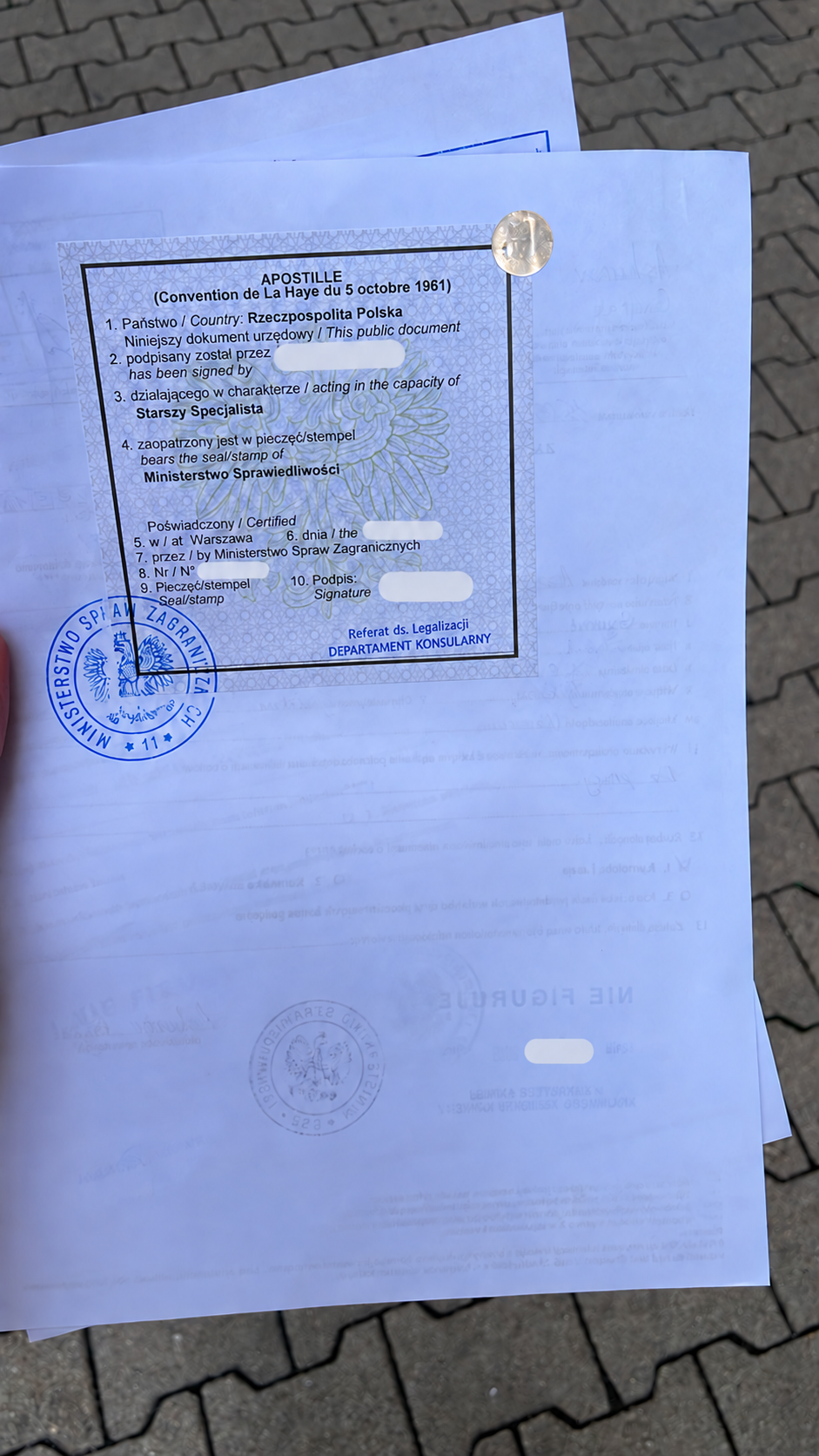 Пример оформленного апостиля клиента — фото 12